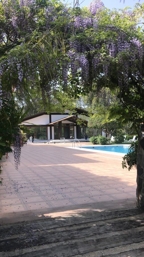 Hotel El Paso Vejer de la Frontera Ngoại thất bức ảnh